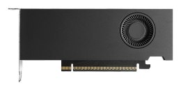 PNY RTX PRO 4000 Blackwell SFF VCNRTXPRO4000LP-SB