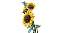 LEGO Botanical Collection 11502 - Bukiet słoneczników