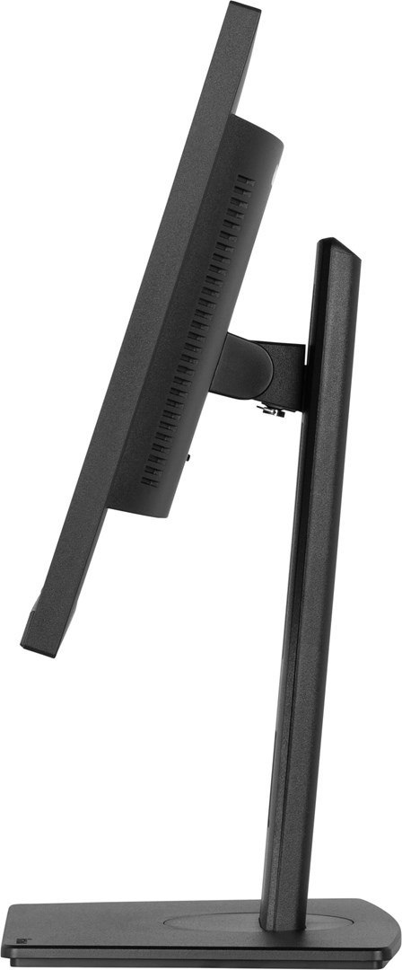 Monitor IPS 1H 1DP, 2x2.0, 100Hz