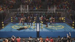 Gra ESD WWE 2K25 Standard Edition XXS ML