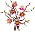 LEGO Botanical Collection 11510 - Gałązki magnolii
