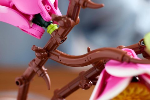 LEGO Botanical Collection 11510 - Gałązki magnolii