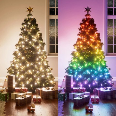 Nanoleaf 1D Outdoor Holiday String Lights Starter Kit 250LED 20m