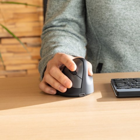 Ergonomiczna mysz R-Go Tools R-Go HE
