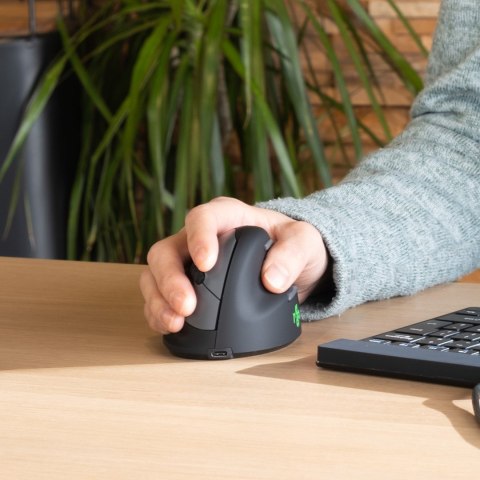 Ergonomiczna mysz R-Go Tools R-Go HE