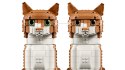 LEGO Ideas 21376 - Rudy kot