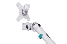 Digitus Podwójne mocowanie monitora, 2x 35