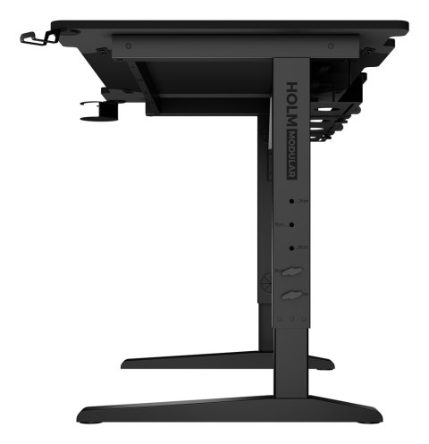 Biurko gamingowe Genesis Holm Modular 120