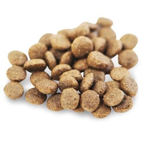 Fish4Dogs Superior Senior z łososiem (S) 1,5kg (OUTLET)