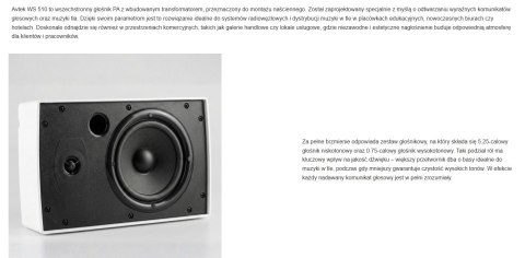 AVTEK GŁOŚNIK NAŚCIENNY WS 510
