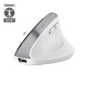 Mysz ergonomiczna TRUST Bayo+ Multidevice Wireless