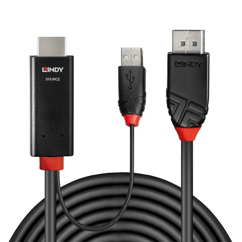 Lindy 41498 adapter kablowy 1 m HDMI + USB Type-A DisplayPort Czarny