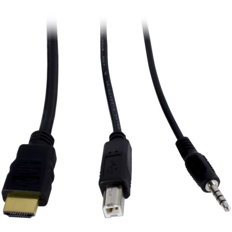 Inter-Tech AS-42HA HDMI przełącznik KVM Czarny