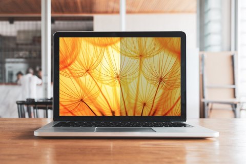 Filtr prywatności 3M Bright Screen