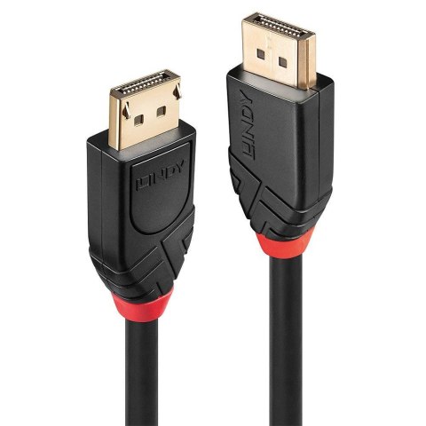 Lindy 41081 kabel DisplayPort 20 m Czarny