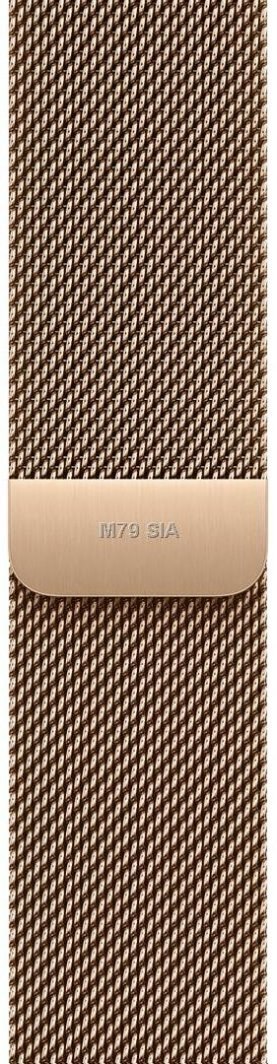Chich-Royal_WTCH_Rgold_20mm