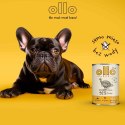 Ollo Pure Indyk 850g
