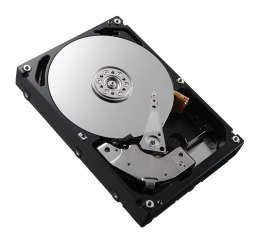 DELL 161-BCFV dysk twardy 2,4 TB 10000 RPM 2.5