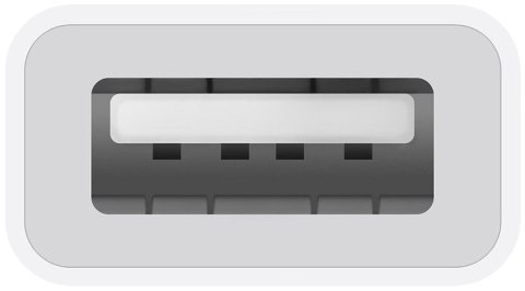 Apple USB-C - USB-A Adapter
