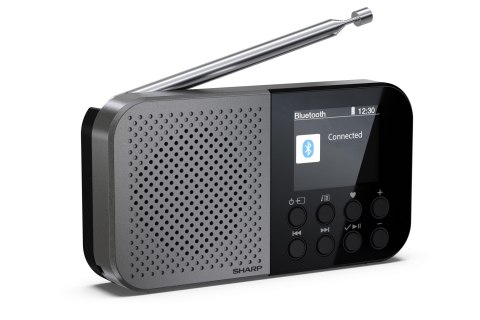 Sharp DR-P520 Osobisty Cyfrowy Szary