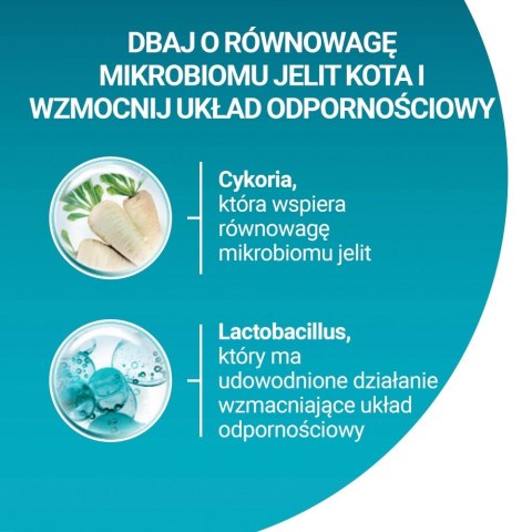 Purina ONE Sensitive Bogata w Indyka i Ryż 750g