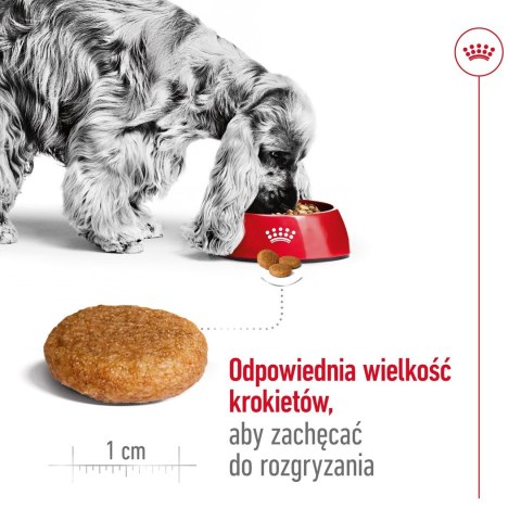 ROYAL CANIN SHN Medium Adult BF 15kg (WYPRZEDAŻ)