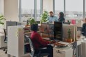 Słuchawki Poly Blackwire 3310 Mono Microsoft Teams USB-C