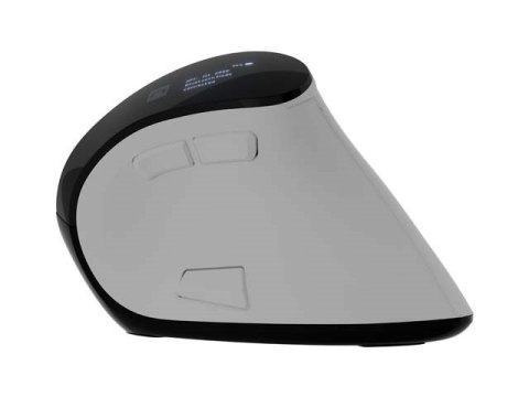 NATEC MYSZ BEZPRZEWODOWA EUPHONIE PRO BT5.0 2400DPI