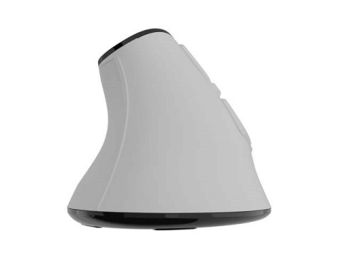 NATEC MYSZ BEZPRZEWODOWA EUPHONIE PRO BT5.0 2400DPI