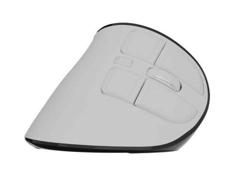 NATEC MYSZ BEZPRZEWODOWA EUPHONIE PRO BT5.0 2400DPI