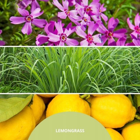 Perfumy do wnętrz 100ml LEMON GRASS MILLEFIORI