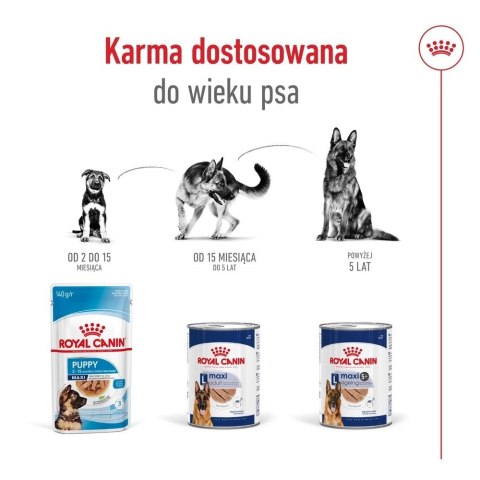 ROYAL CANIN SHN Maxi Ageing Loaf Can 410g