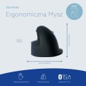 Ergonomiczna mysz R-Go Maus HE ergonomisch rechts Bluetooth mittel schwarz/sil retail