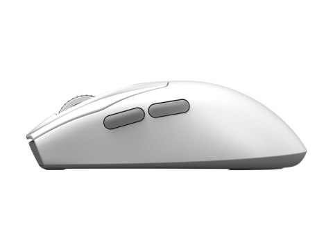 Mysz gamingowa MSI | FORGE GM340 WIRELESS | Bezprzewodowa | 2,4 GHz, Bluetooth, USB | Biała