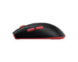 MSI Forge Gm340 Wireless Black myszka Gaming Oburęczny RF Wireless + Bluetooth Optyczny 12000 DPI