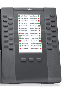 Moduł rozszerzeń funkcyjnych Mitel M695