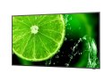 NEC MultiSync E438 Płaski panel Digital Signage 108 cm (42.5") LCD 350 cd/m2 4K Ultra HD Czarny 16/7